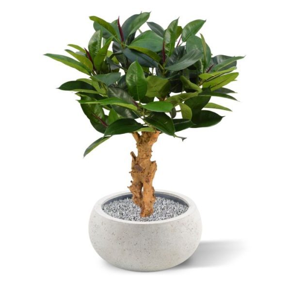 Philodendron-kunstplant-80-cm-op-voet-10 Philodendron kunstplant 80 cm op voet 10