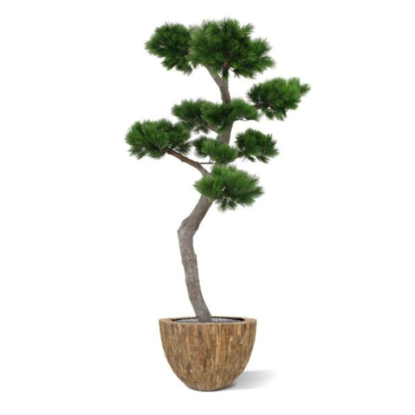 Pinus Bonsai XL kunstboom 200 cm 10