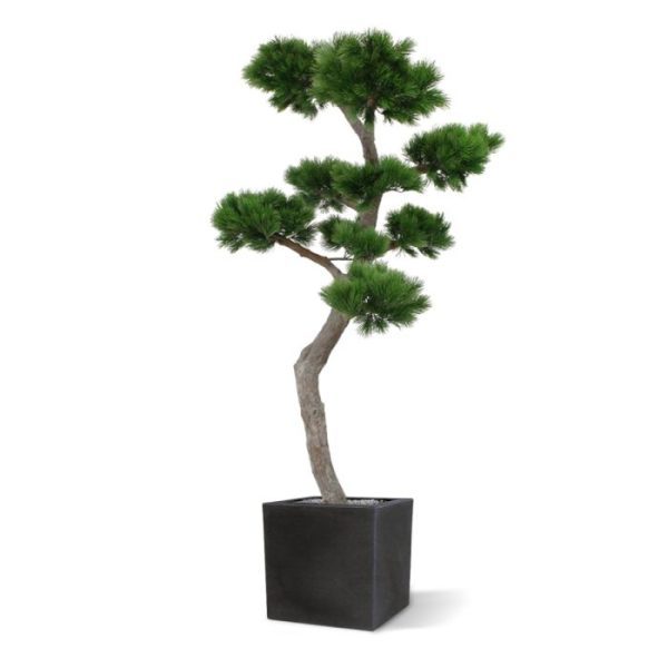 ziet er niet alleen heel echt uit