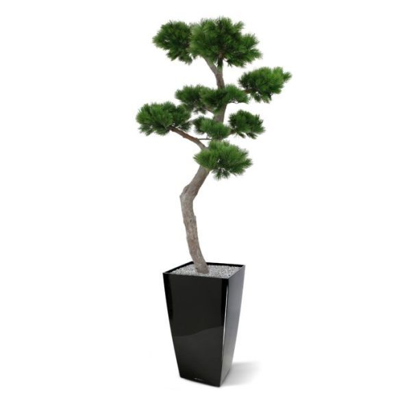 Deze bijzondere Pinus Bonsai XL kunstboom is een lust voor het oog. De Pinus