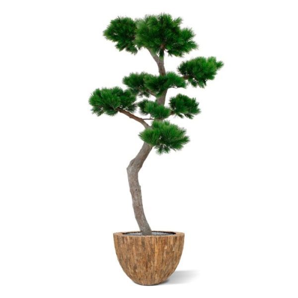 Pinus Bonsai XL kunstboom 200 cm UV 10