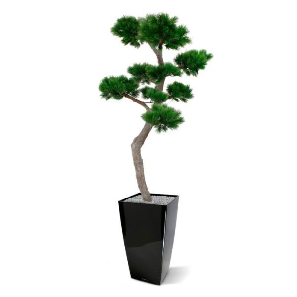 Werkelijk uniek in de kunstbomen wereld is deze UV bestendige Pinus Bonsai XL. Omdat de UV-protector in de grondstof is verwerkt geven wij de garantie dat deze Pinus Bonsai XL gedurende 8 jaar lang niet verkleurt! De Pinus