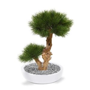 Deze exclusieve Pinus Bonsai 55 cm kunstboom verdient in elk interieur een bijzondere plek! De Bonsaiboom