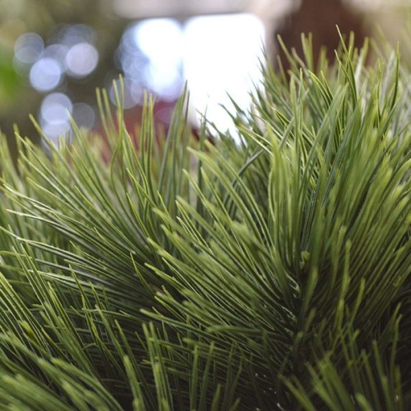 Pinus-Bonsai-kunstboom-55-cm-op-voet-5 Pinus Bonsai kunstboom 55 cm op voet 5