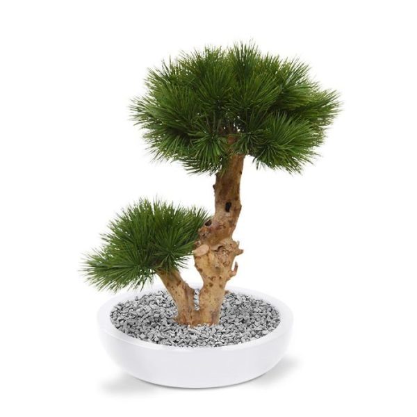 Pinus Bonsai kunstboom 55 cm op voet Deze exclusieve Pinus Bonsai 55 cm kunstboom verdient in elk interieur een bijzondere plek! De Bonsaiboom
