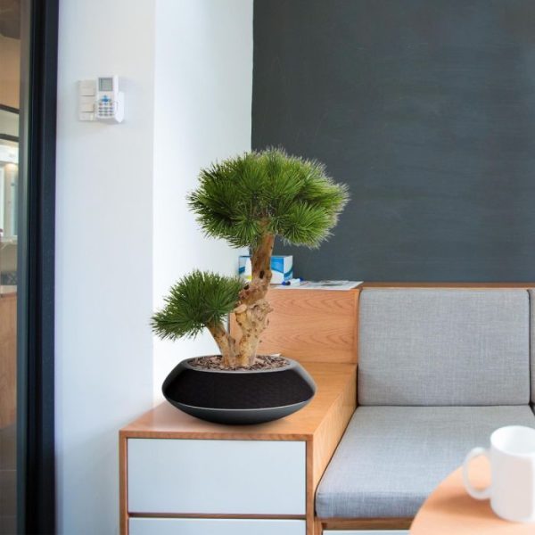 Pinus-Bonsai-kunstboom-55-cm-op-voet-9 Pinus Bonsai kunstboom 55 cm op voet 9