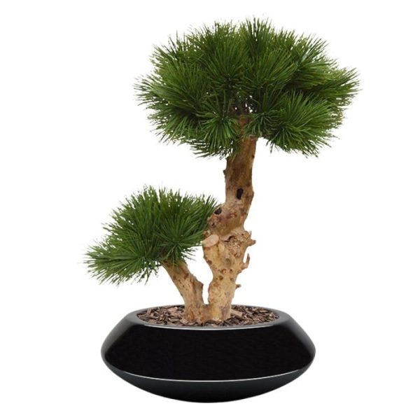 Pinus-Bonsai-kunstboom-55-cm-op-voet-uv-bestendig-10 Pinus Bonsai kunstboom 55 cm op voet uv bestendig 10