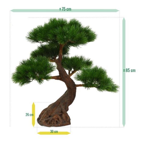 Pinus-Bonsai-x5-Deluxe-80-cm-op-voet-UV-5 Pinus Bonsai x5 Deluxe 80 cm op voet UV 5