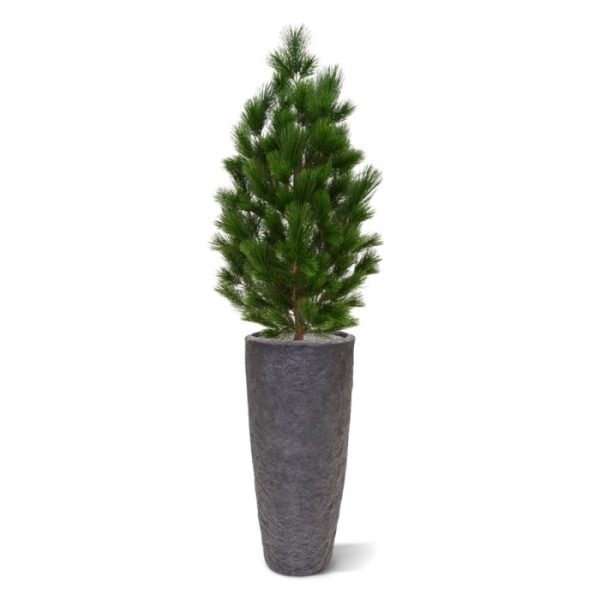 Pinus-Deluxe-XL-130-cm-UV-Proof-10 Pinus Deluxe XL 130 cm UV Proof 10