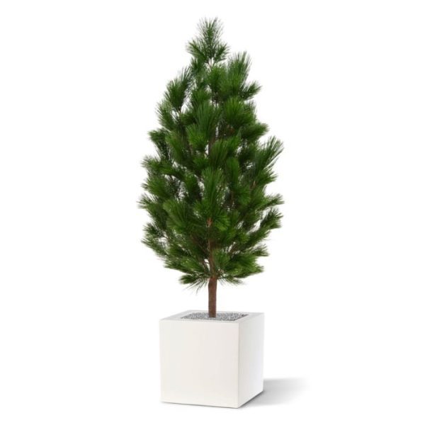 Kunstbomen voor buiten ziet er niet alleen heel echt uit