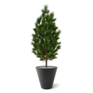 De uv bestendige Pinus Deluxe 130 cm