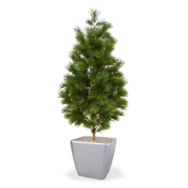 Kunstbomen ziet er niet alleen heel echt uit