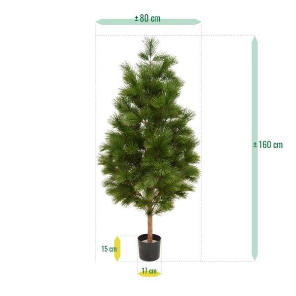 Pinus-Deluxe-XL-kunstboom-160-cm-UV-3 heeft een hoogte van ongeveer 160 cm en een breedte van zo'n 80 cm. Vanaf de grond gemeten beginnen de eerste takken op 32 cm hoogte. Uw kunt deze kunstboom zowel in een hoge als lage sierpot plaatsen.   De buitenplant wordt standaard geleverd in plastic binnenpot