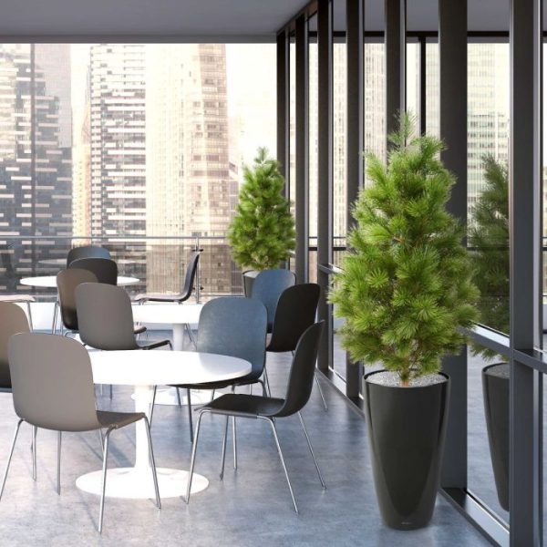 Pinus-Deluxe-XL-kunstboom-160-cm-UV-6 Pinus Deluxe XL kunstboom 160 cm UV 6