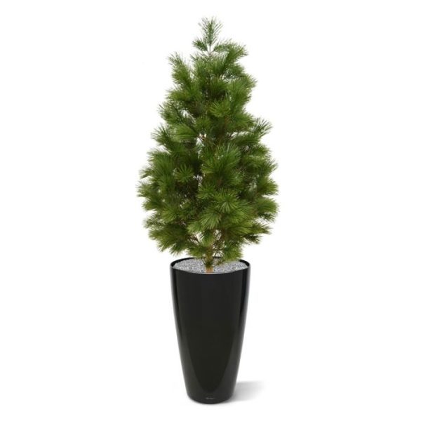 Pinus Deluxe XL kunstboom 160 cm UV De uv bestendige Pinus Deluxe kunstboom XL160 cm