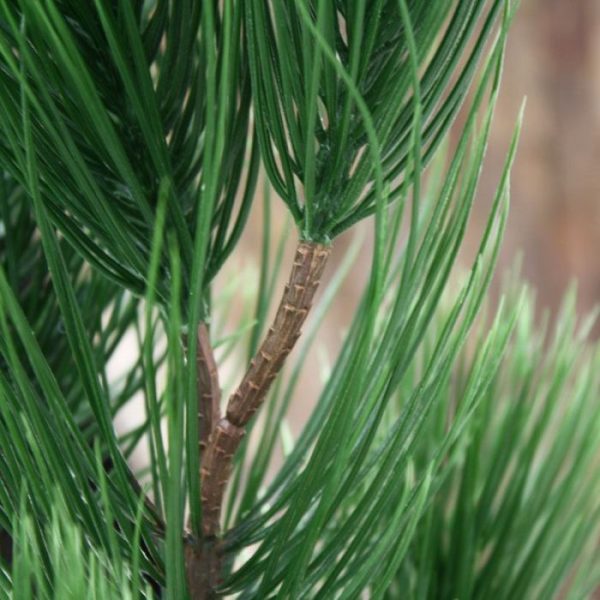 zodat ze makkelijk te verwerken zijn tot decoratieve kunstplanten en kunstbomen. De buitenplant is geheel gemaakt van kwalitatief hoog pvc