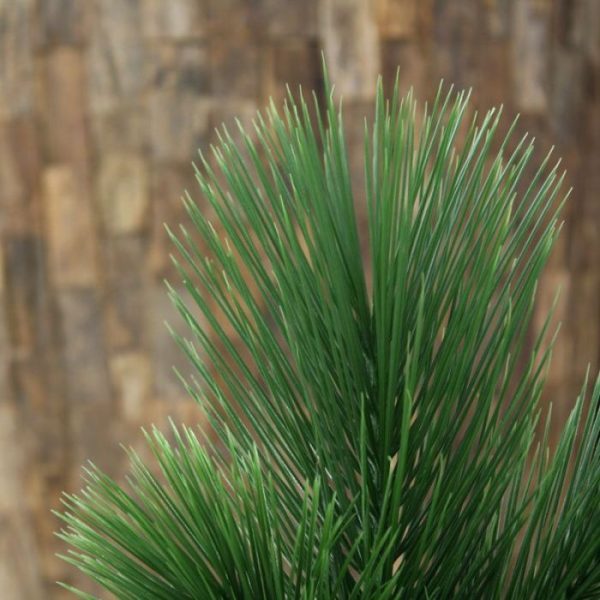 Pinus Kunsttak 65 cm UV 5