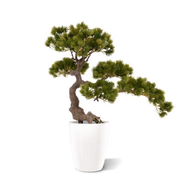 Nieuw: Pinus kunst Bonsai 50x60 cm op voet