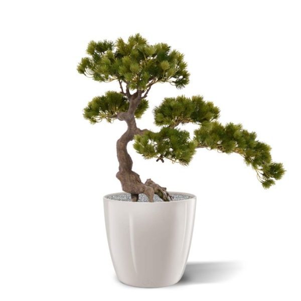 Pinus kunst Bonsai 50x60 cm op voet 7