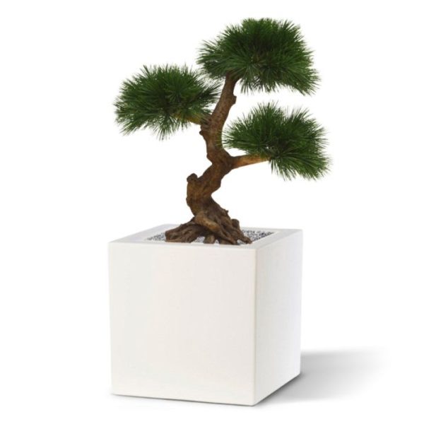 Pinus-kunstbonsai-3-bollen-60-cm-UV-3 spreekt bijzonder tot de verbeelding. Het is een prachtige decoratie! De Pinus Bonsai kunstplant wordt standaard geleverd zonder pot
