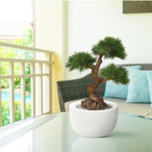 Werkelijk uniek in de kunstbomen wereld is deze UV bestendige kunst Pinus Bonsai 60 cm. Omdat de UV-protector in de grondstof is verwerkt kunnen wij de garantie geven dat deze Pinus gedurende 8 jaar lang niet verkleurt! Deze exclusieve Pinus Bonsai kunstboom verdient in elk interieur een bijzondere plek! De Pinusbonsai