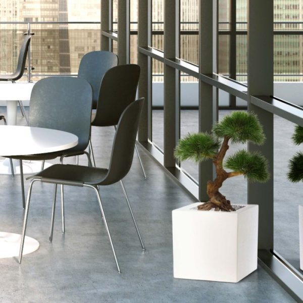 Pinus-kunstbonsai-3-bollen-60-cm-UV-5 Pinus kunstbonsai 3 bollen 60 cm UV 5