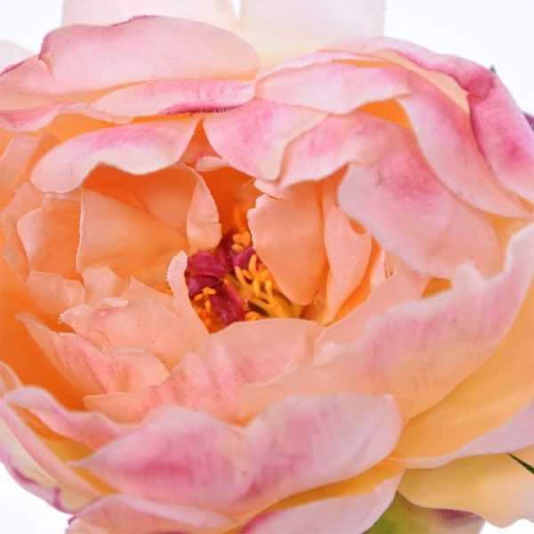 Kunstbloemen in mei en juni. Vindt u het ook altijd zonde dat de bloeitijd van pioenen maar zo kort is? Gelukkig geniet u van deze kunst pioentak het hele jaar door. De pioentak deluxe 55 cm rose wordt standaard als losse steel geleverd. De pioen heeft met zo'n indrukwekkende bloem niet veel nodig om een blikvanger in uw interieur te zijn. Zet 'm solo in een vaas of verwerk hem met wat extra bladtakken of kunstbloemen tot een prachtig kunstzijdenboeket. De grote lichtroze bloem meet ongeveer 10 cm breed en is zeer verfijnd nagemaakt. De 'touch' van het materiaal is perfect