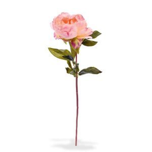 Deze schitterende kunst Pioenroos (Paeonia) deluxe is net echt! De pioen kunstbloem is oogverblindend mooi en al jaren een enorm populaire bloem. De meeste soorten bloeien slechts twee maanden