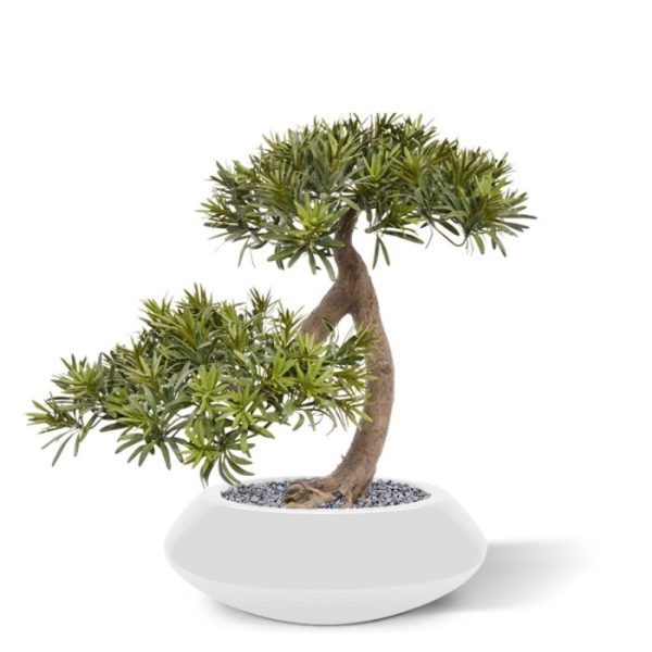 Podocarpus kunst Bonsai 55 cm 1