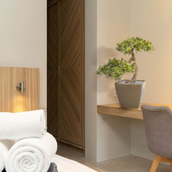 Podocarpus kunst Bonsai 55 cm 4