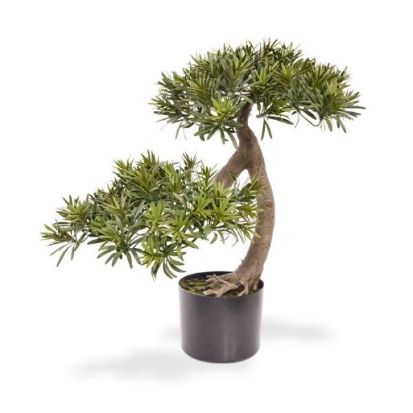 Podocarpus kunst Bonsai 55 cm 7