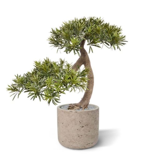 Podocarpus kunst Bonsai 55 cm 8
