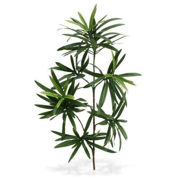 Kunstbloemen zodat ze makkelijk te verwerken zijn tot decoratieve kunstplanten en kunstbomen. De kunstzijden Podocarpus heeft een totale lengte van ongeveer 35 cm en een breedte van ongeveer 20 cm. Vraag ons naar de diverse mogelijkheden en toepassingen!