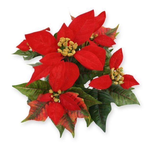 Poinsettia kunstboeket 25 cm rood De Poinsettia - ook wel Kerstster genoemd - is een mooie en bijzondere kunstplant
