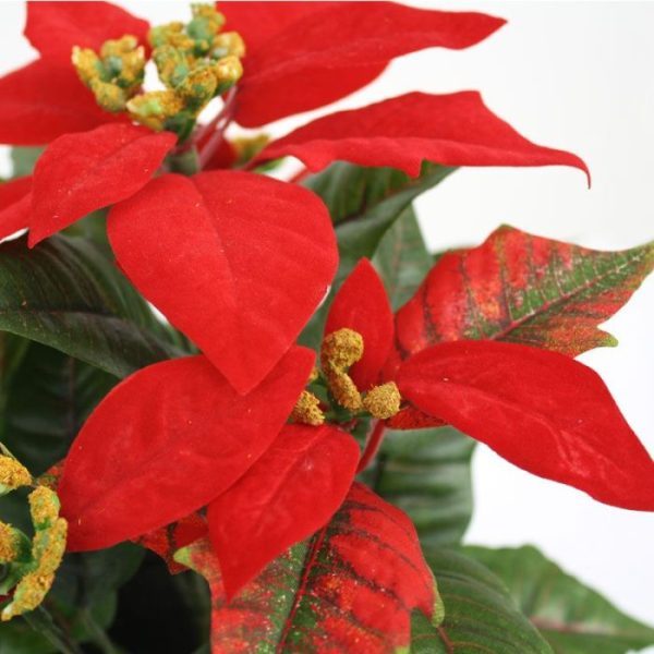 Poinsettia-kunstplant-25-cm-rood-in-pot-5 Poinsettia kunstplant 25 cm rood in pot 5