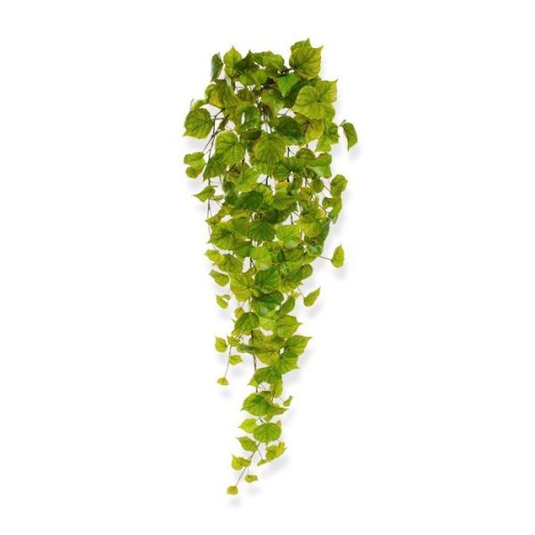 Populier-kunsthangplant-80-cm-6 Populier kunsthangplant 80 cm 6