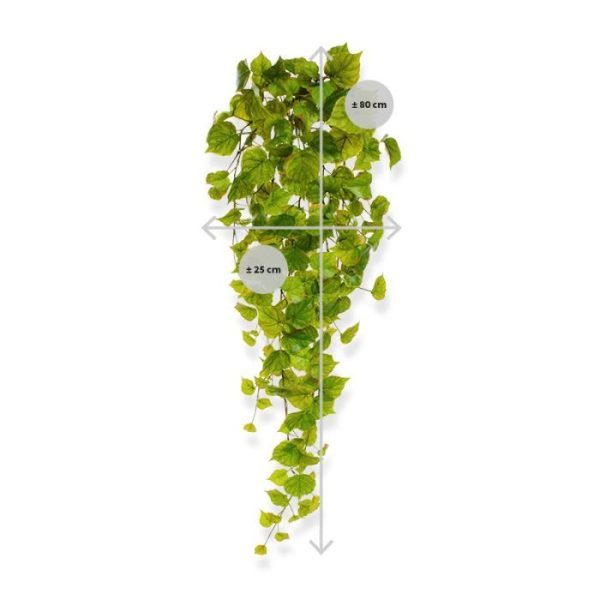 Populier kunsthangplant 80 cm Hollandser dan dit gaat u het met deze verfijnd fraaie Populier hanger van 80 cm niet krijgen! Als u uw ogen dicht doet