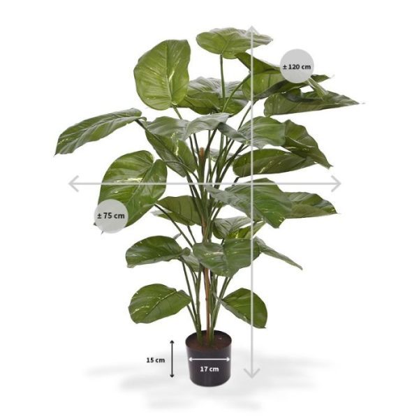 Nieuw Pothos kunstboom 115 cm