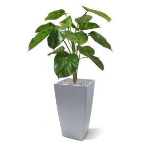 Heeft deze prachtig nagemaakte en luxe kunst Pothos Deluxe van 90 cm in pot nu groen met geel gevlekte bladeren? Jeetje
