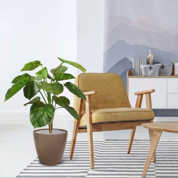 Pothos-deluxe-kunstplant-90-cm-4 luistert eigenlijk naar de officiële naam Epipremnum aureum. Maar wat maakt het uit als u deze werkelijk schitterende en levensechte kunstplant in huis haalt? Deze plant bestaat uit een prachtig nagemaakte steelaanzet van waaruit meerdere stevige takken met hun bladeren groeien. Dankzij de flexibel te buigen constructie kunt u de plant nog geheel naar eigen wens in vorm brengen. Direct een sierpot meebestellen? Deze kunstplant Pothos is ongeveer 90 cm lang en 60 cm breed en wordt geleverd in een standaard plastic binnenpot. H...