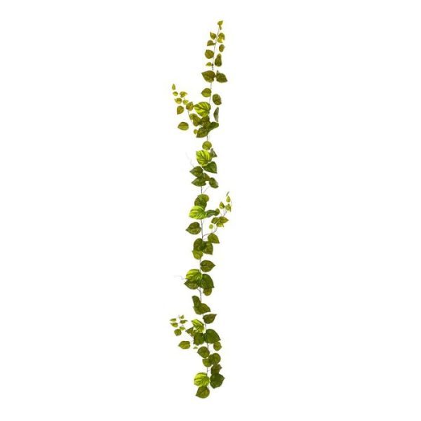 Pothos kunst guirlande 180 cm bont Ziet u die bijzonder verfijnde