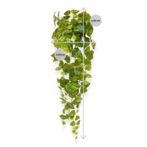 Creëer uw eigen Urban Jungle met deze verfijnde en levensecht ogende Pothos kunsthanger. Voel die zijdezachte en toch stevig verankerde bladeren die zo mooi naar de zon toegroeien. Dankzij de unieke coating en gedetailleerde tekening is het net alsof de bladeren van deze Drakenklimop tot leven komen. Met de verschillende groene en gele tinten en afmetingen opstaande bladeren is deze hangplant niet van echt te onderscheiden. Dankzij de vernieuwde constructie met bladeren uit één mal kan het geheel tegen een stootje. Het ijzerdraad in de gehele slinger zorgt ervoor dat deze volledig buigbaar is. De totale lengte van de kunstpothos in hangvorm is inclusief steel ongeveer 90 cm en de breedte 25 cm.
