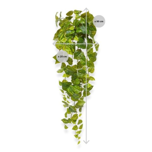 Pothos kunsthanger 90 cm bont Creëer uw eigen Urban Jungle met deze verfijnde en levensecht ogende Pothos kunsthanger. Voel die zijdezachte en toch stevig verankerde bladeren die zo mooi naar de zon toegroeien. Dankzij de unieke coating en gedetailleerde tekening is het net alsof de bladeren van deze Drakenklimop tot leven komen. Met de verschillende groene en gele tinten en afmetingen opstaande bladeren is deze hangplant niet van echt te onderscheiden. Dankzij de vernieuwde constructie met bladeren uit één mal kan het geheel tegen een stootje. Het ijzerdraad in de gehele slinger zorgt ervoor dat deze volledig buigbaar is. De totale lengte van de kunstpothos in hangvorm is inclusief steel ongeveer 90 cm en de breedte 25 cm.