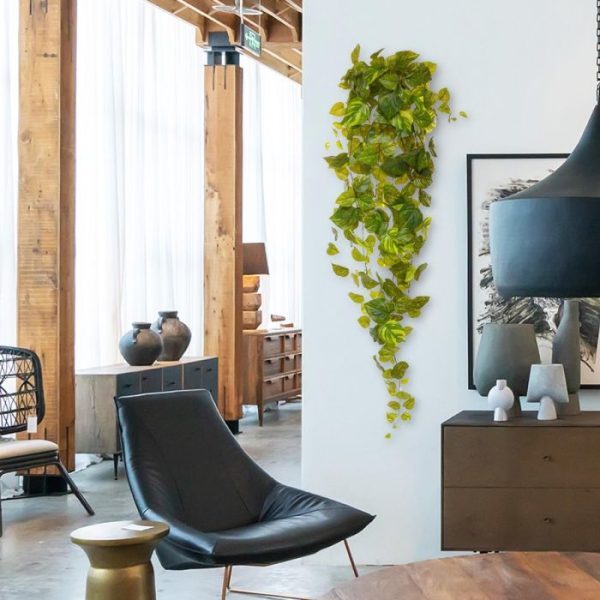 voel die zijdezachte bladeren maar en merk hoe buigzaam de strengen zijn. Dankzij de zijdezachte coating en gedetailleerde tekening is het net alsof de bladeren van deze Drakenklimop in hangvorm tot leven komen. De grotendeels uit één stuk gegoten strengen met hun stevig vastzittende en opstaande bladeren zijn dankzij de vernieuwde constructie in zijn geheel buigbaar. De totale lengte van deze kunstpothos in hangvorm is inclusief steel ongeveer 130 cm en de breedte 20 cm.