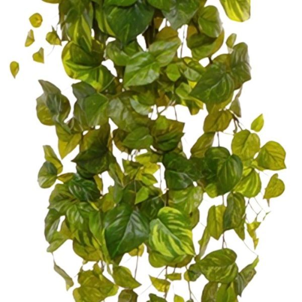 Pothos kunsthangplant 170 cm bont Wat een bijzondere Urban Jungle sfeer zal deze delicate