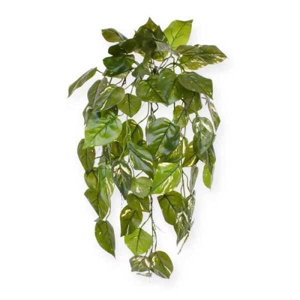 Pothos-kunsthangplant-deluxe-70-cm-bont-3 als arrangement in een hoge vaas thuis of als toevoeging aan uw groene kantoorwand. De lengte van de kunst Pothos