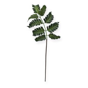 Dit Pteris Varenblad 50 cm wordt veel gebruikt als basis in kunstboeketten. De kunst Varen heeft 9 afzonderlijke zijden bladeren