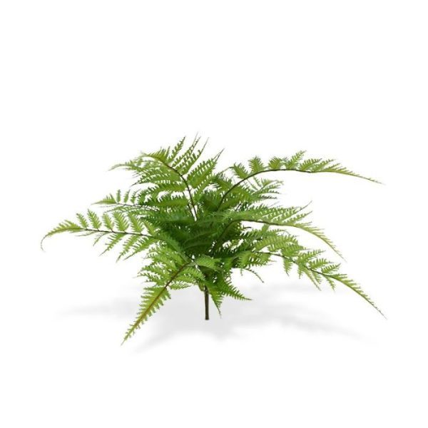 veerdelige bladeren die op kleine zaagtandjes lijken. Pteris-soorten komen wereldwijd voor in tropische en subtropische streken waardoor het een boeket met een exotisch tintje heeft. Ideaal als decoratie voor op tafel
