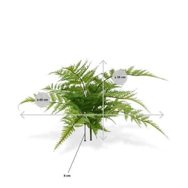 buigzame constructie. De totale lengte van dit boeket is inclusief steel ongeveer 35 cm en de breedte ongeveer 35 cm. De varen wordt als boeket geleverd en is in meerder soorten en afmetingen verkrijgbaar.