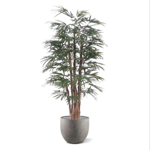 maar ook nog eens zeer natuurgetrouw!  De boom is 190 cm hoog en wordt standaard in een plastic pot geleverd. De afgebeelde sierpot is dus niet bij de prijs inbegrepen.